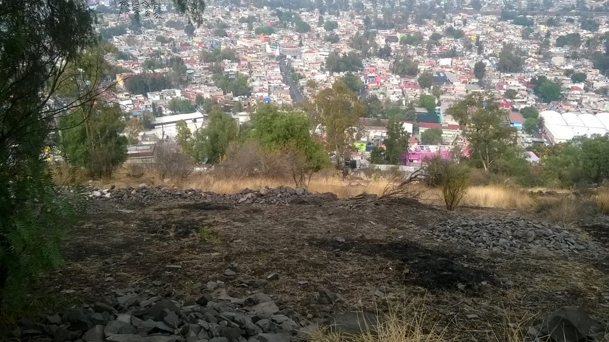 ParqueTepeyac's tweet photo. Aquí lo que sorprende es que tanto la @SEMARNAT_mx , como la @SEDEMA_CDMX y la @gamadero tengan mandatos y responsabilidades sobre el #ParqueNacionalTepeyac y sean usuarios los que intenten frenar #ecocidio . Esto en la CDMX , vació total de poder. @greenpeacemx @supercivicosmx https://t.co/qgabTYfSeq