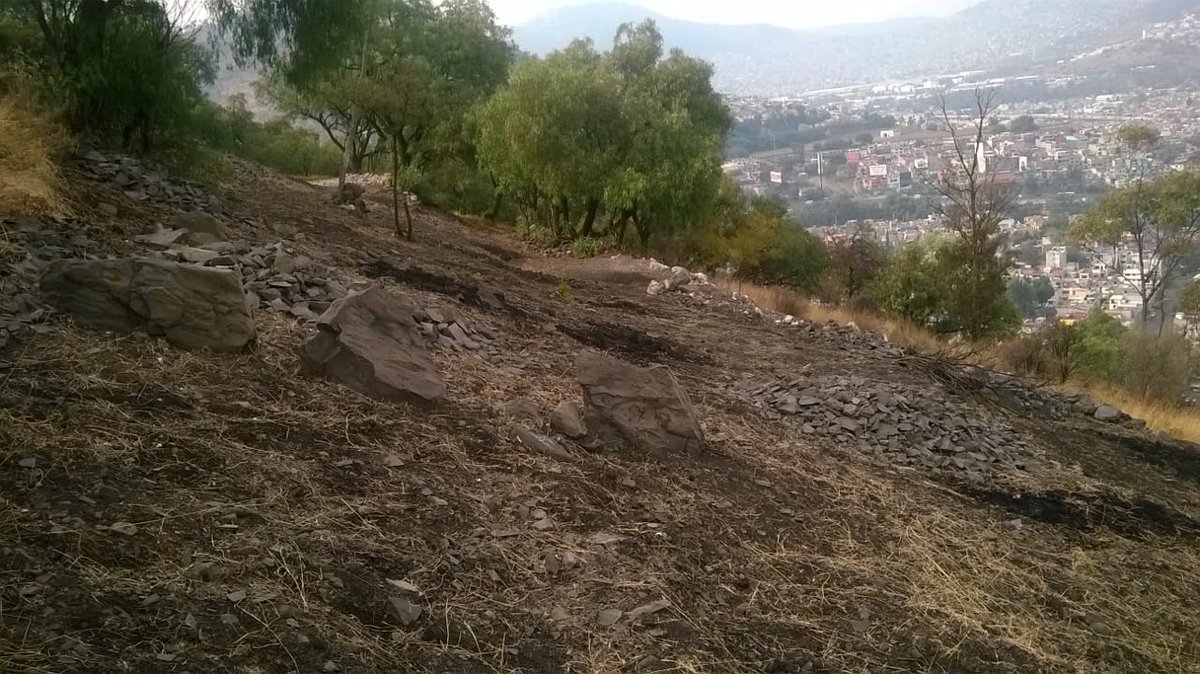 ParqueTepeyac's tweet photo. Aquí lo que sorprende es que tanto la @SEMARNAT_mx , como la @SEDEMA_CDMX y la @gamadero tengan mandatos y responsabilidades sobre el #ParqueNacionalTepeyac y sean usuarios los que intenten frenar #ecocidio . Esto en la CDMX , vació total de poder. @greenpeacemx @supercivicosmx https://t.co/qgabTYfSeq