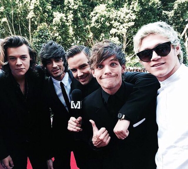 Miss1D19's tweet photo. #BRITVOTEONEDIRECTION https://t.co/Cjk3PlQ38t