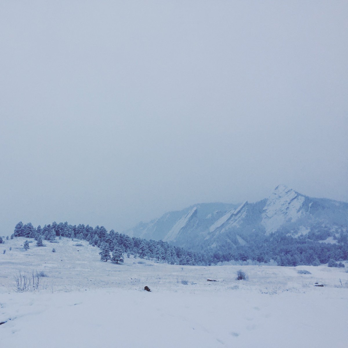 TwoHandsPaperie's tweet photo. Sometimes walking to the parking lot of #Chautauqua is all you need for a moment of quiet. Am I right? #Boulder https://t.co/5cbe01LQeE