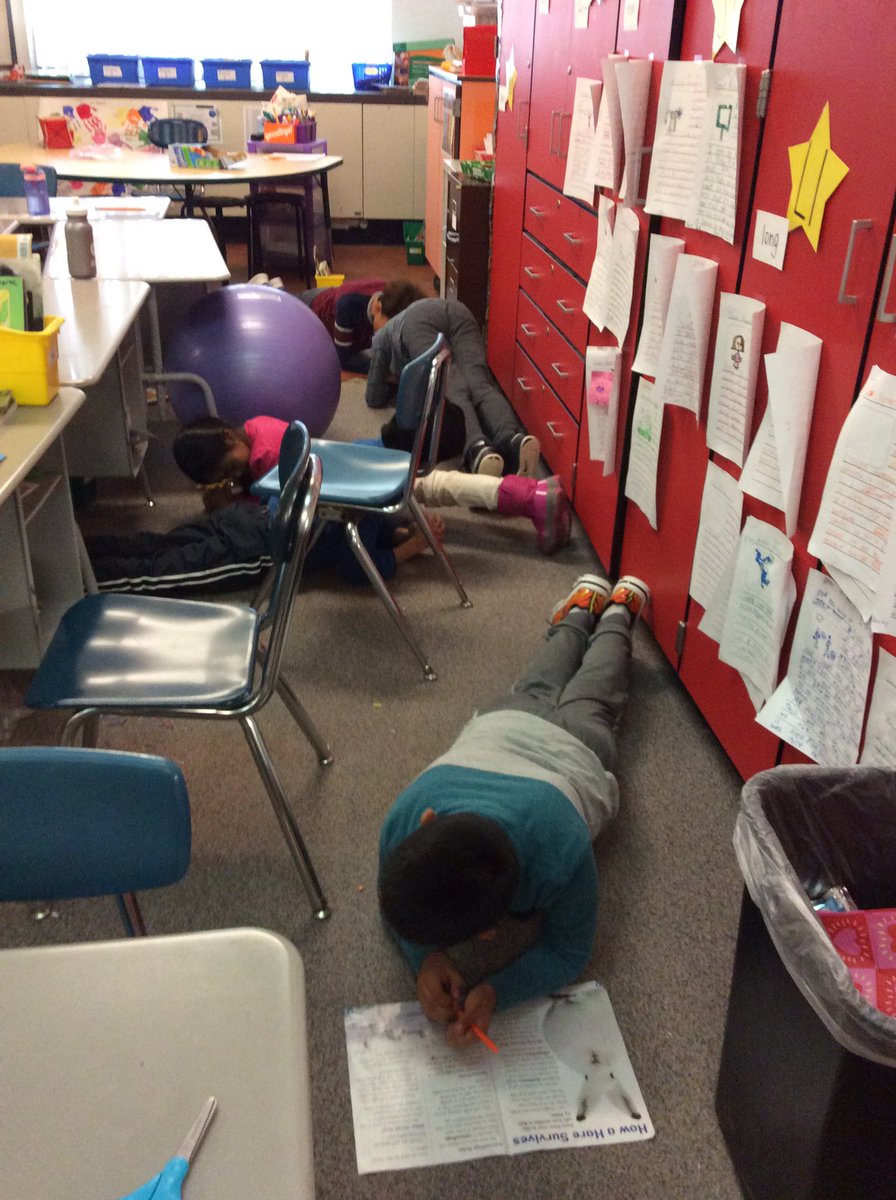 mrsmarulli's tweet photo. Room 2 rocked the #plankchallenge!  We nominate @azarewych to plank next!  Good Luck! @HamiltonHawksPE  @HamiltonHawks82 https://t.co/76hEXhs9Mh