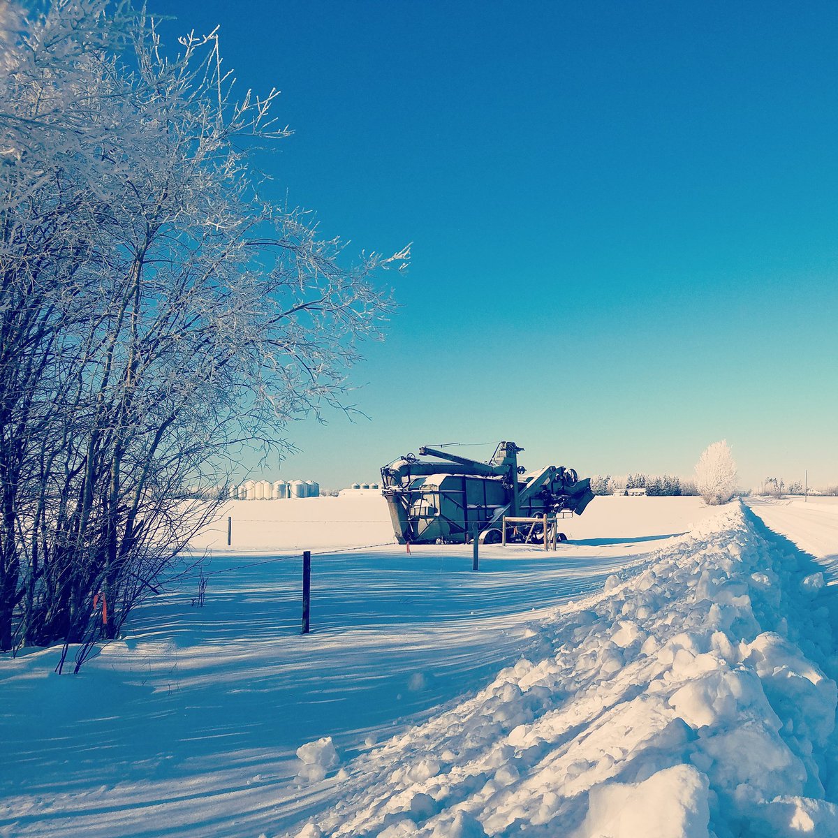 six7shorty's tweet photo. #winterwonderland #hoarfrost #threshingmachine #farm365 #westcdnag https://t.co/WvLaDGYJPn