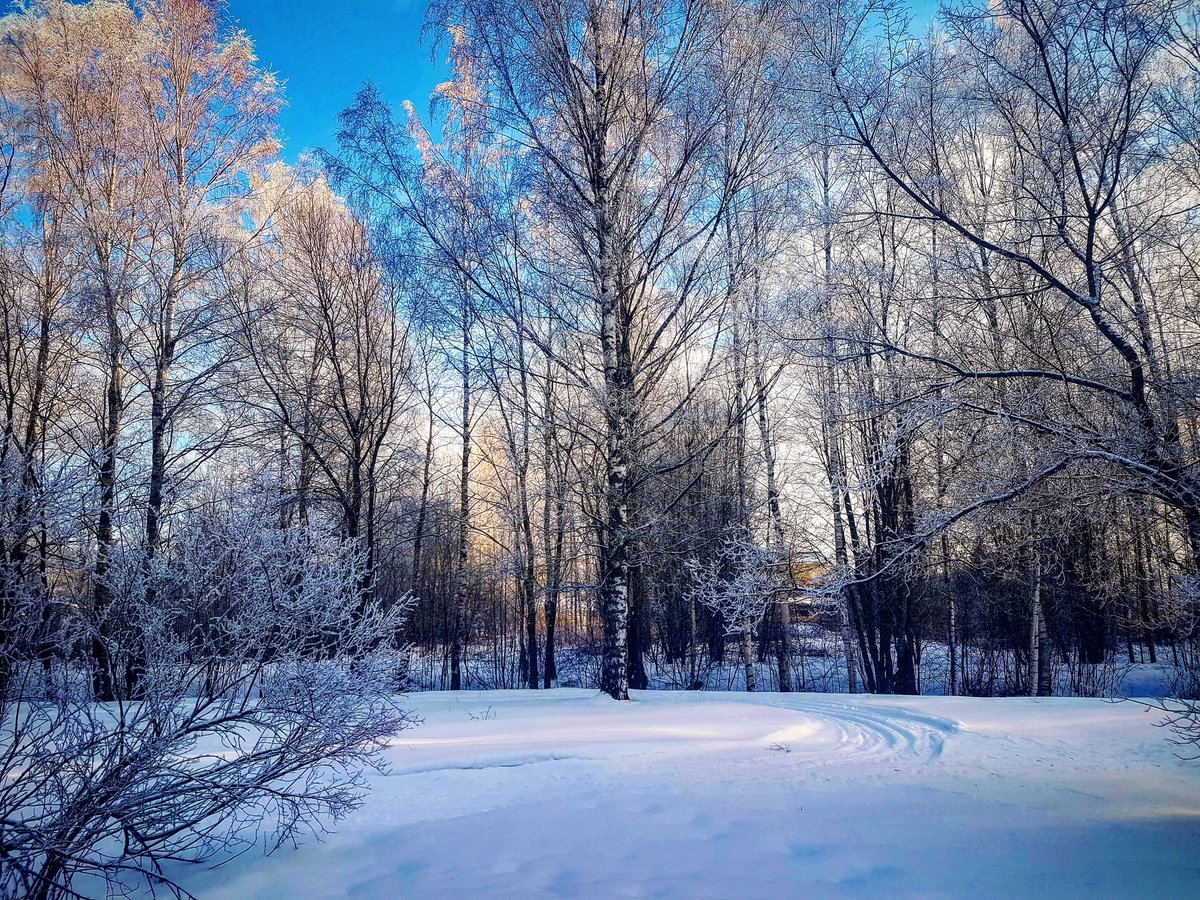 Winter in #Finland 😍🌨❄☃ #travel