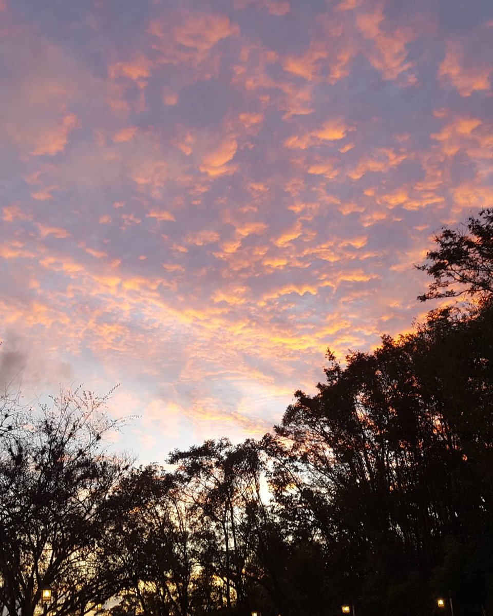 Toribabyforever's tweet photo. Florida sunsets are just better. https://t.co/JSEk7v3Aqy