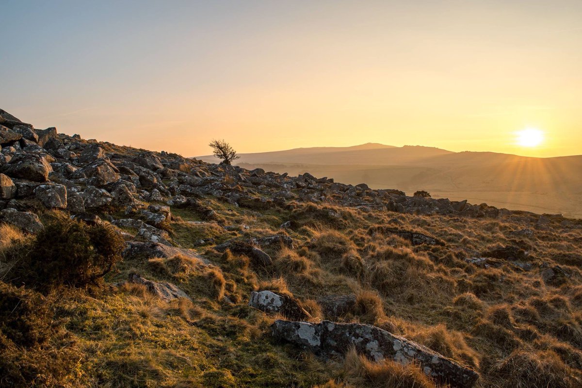 Another one from last night, loving the winter sunshine, and no biting wind yesterday evening. Great thinking and clicking weather! #LoveDartmoor #LoveDevon #Dartmoor #Nikon #Landscape #Sunset #Winter #February #DartmoorNationalPark #Twinkle