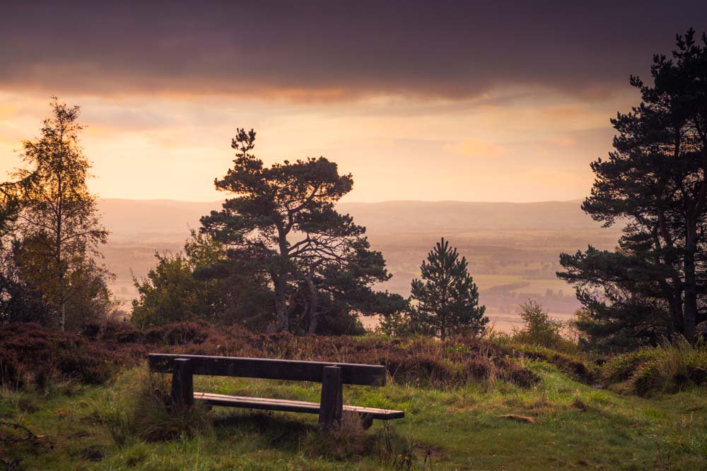 VisitCrieff's tweet photo. There are so many great walks near Crieff, luckily we have picked out the best ones for you 🌳🏔️#VisitCrieff https://t.co/mKUmEo8Wrl https://t.co/3RtJLMLLaE