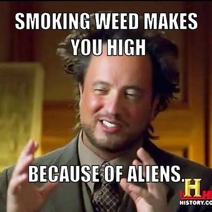 _justjess420's tweet photo. If you don't get this we can't be friends ! #420fans #420friendly #blunt #weedfeed #CannabisCommunity #cannabiz #BlazeItForward #flower #greenforlife #weedstagram420 https://t.co/TeEHnQpCLk