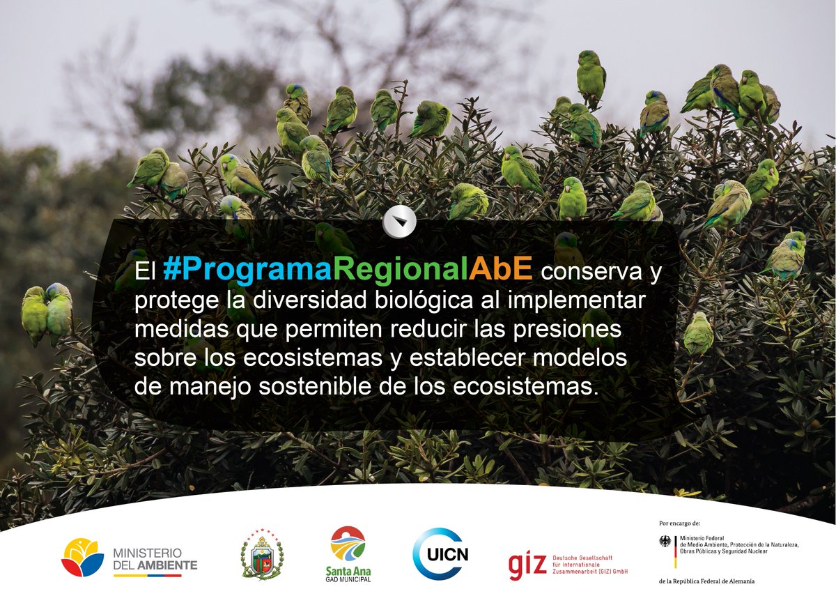 UICN_SUR's tweet photo. El #ProgramaRegionalAbE fomenta la conservación y protección de la diversidad biológica al implementar medidas que permiten reducir las presiones sobre los ecosistemas y establecer modelos de manejo sostenible de los ecosistemas. https://t.co/NrkDnwR21b