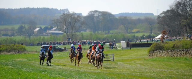 We will attending the Tyndale P2P @Corbridge on Sunday 25th February
Pony racing 11.30am. First race 12.30pm #ponyracing #gopointing #comepointing #wrs #whiterosesaddley