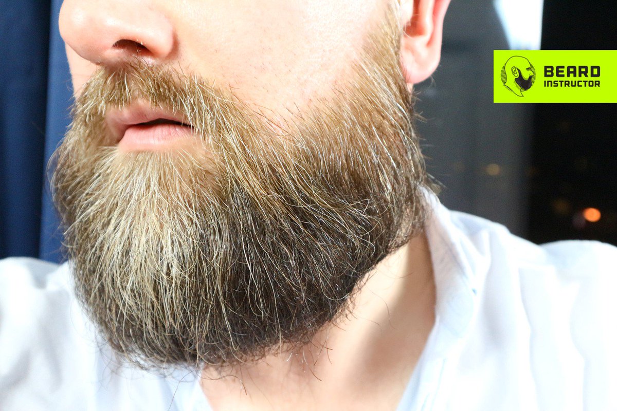 beardinstructor's tweet photo. How to get a super soft beard with just hot oil #beardoil #grooming #softbeard https://t.co/CxgqfU3jk3 https://t.co/NEBPNkm46X