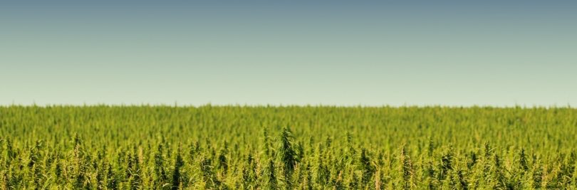 kushber_'s tweet photo. CBD Market Estimated to Grow to $2.1B by 2020, Report Finds “Hemp-Derived CBD is estimated to account for $450 million” #cbd #cannabis #kushber https://t.co/S8THGlNFHw https://t.co/fq4V3ISdwh