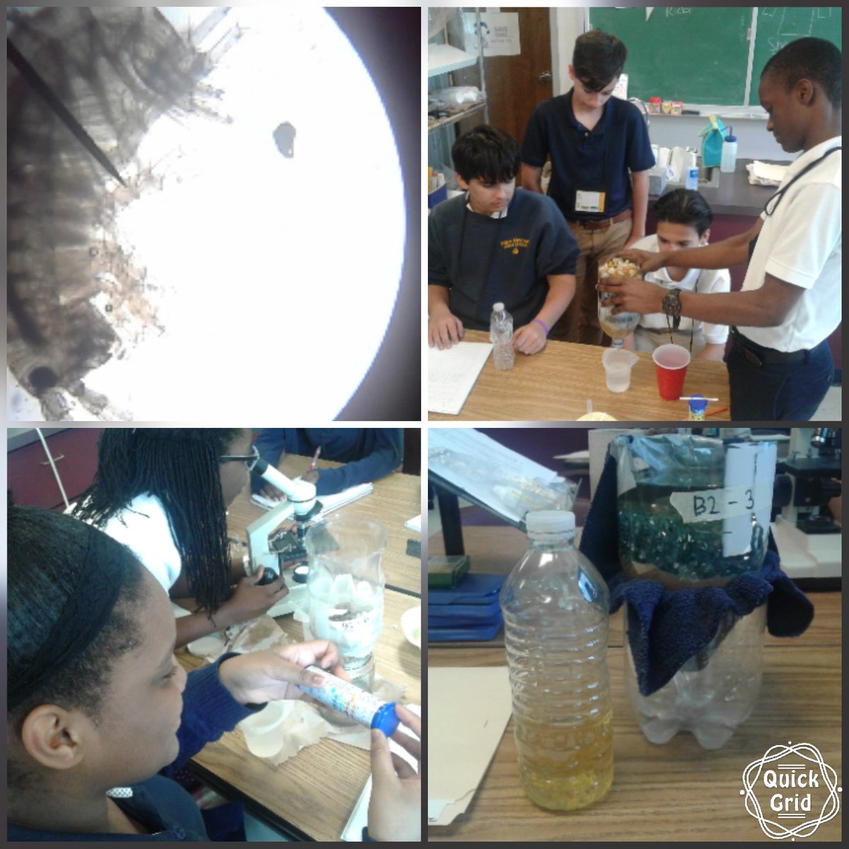 Emily Kelly tweet media