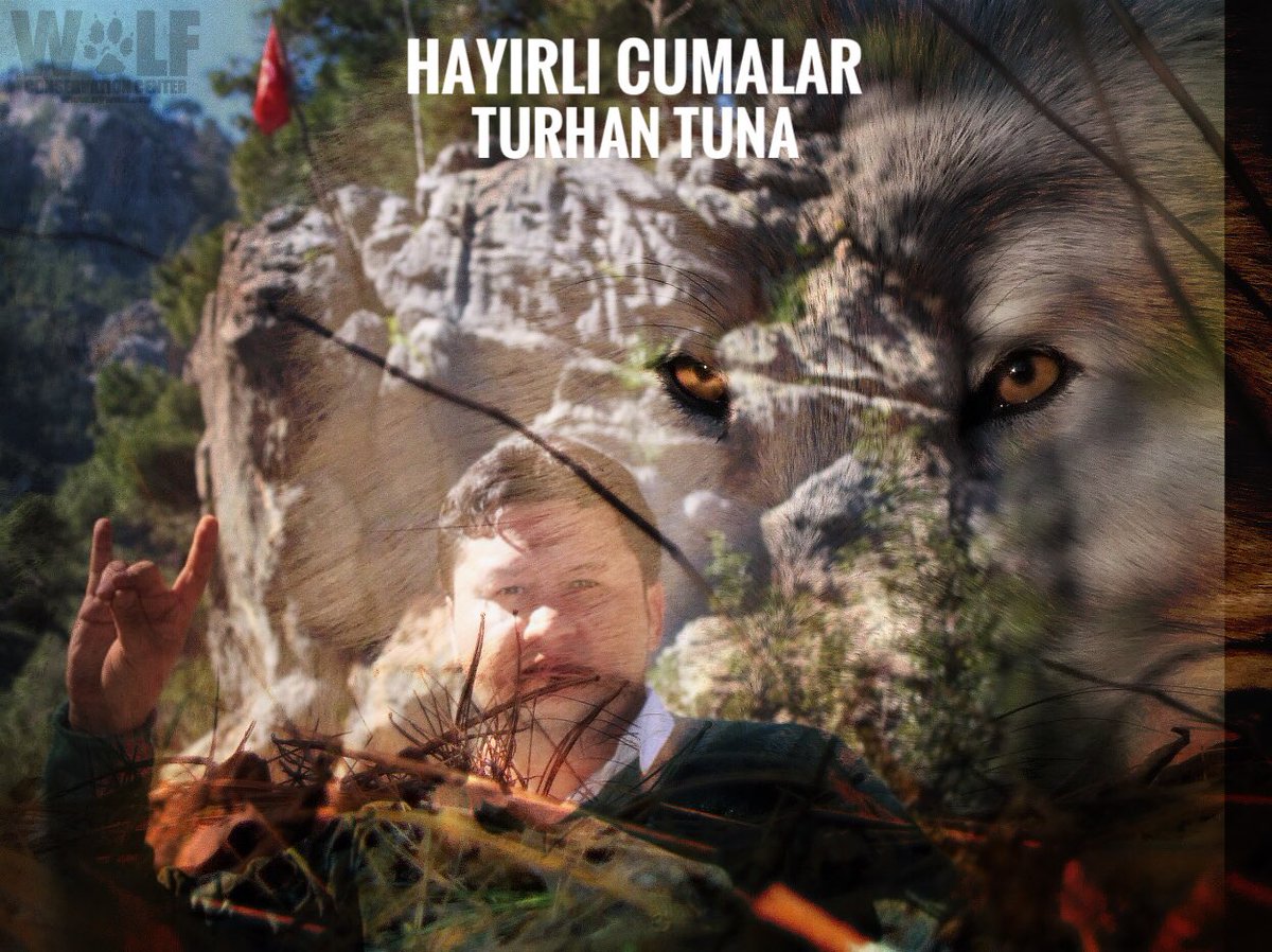 TurhanTunaMhp's tweet photo. Gerçekten Türkçü olmak kolay değildir. Her önüne gelen Türkçü olamayacağı gibi, her Türkçüyüm diyen de Türkçü olamaz. 
                      “Hüseyin Nihal ATSIZ” 

Sen bunu anladığın gün #Kurt olup #Ulumak isteyeceksin ama o gün çok geç olacak https://t.co/UwrbEYIQhj
