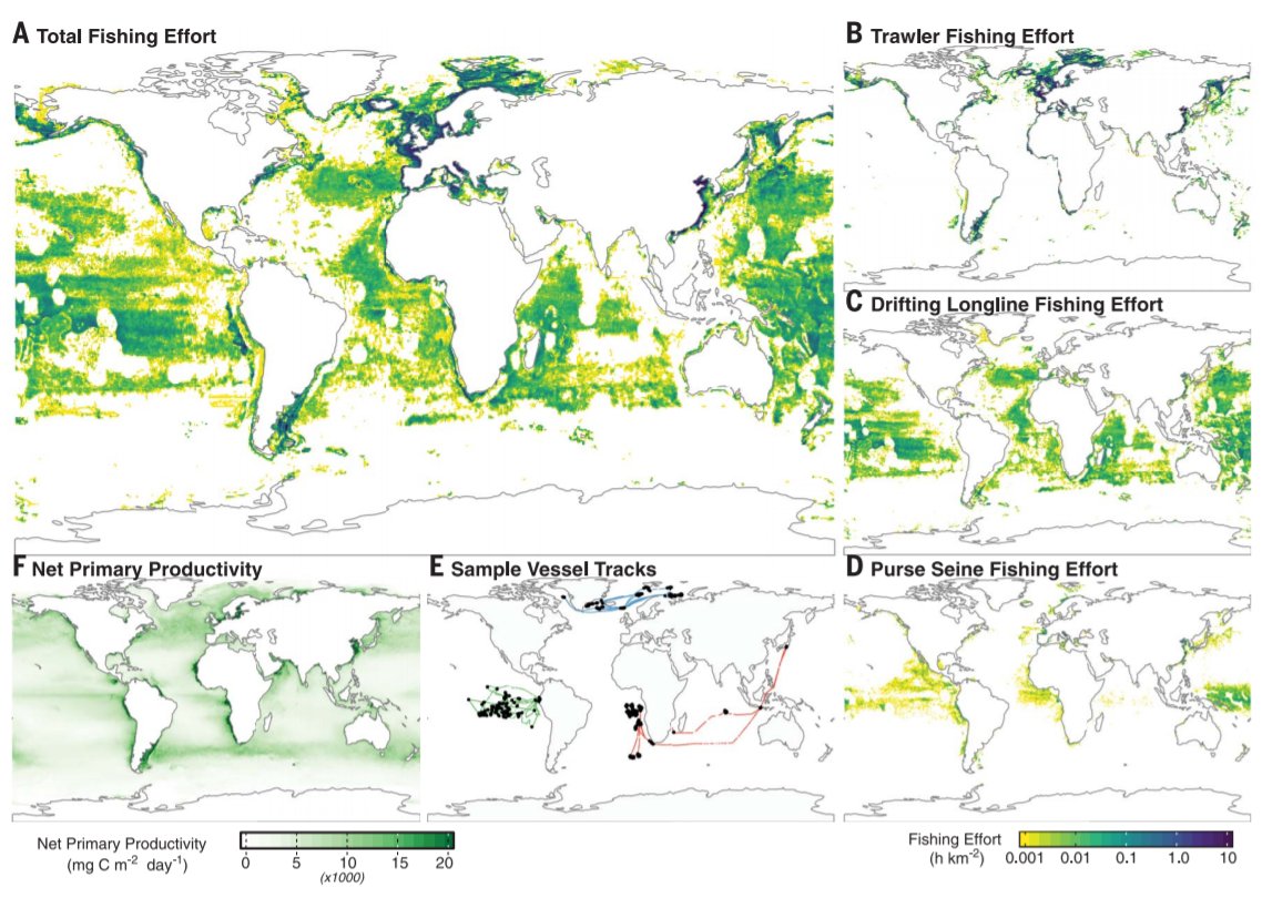 Global fishing effort covers more than 55% of the oceans
science.sciencemag.org/content/359/63…