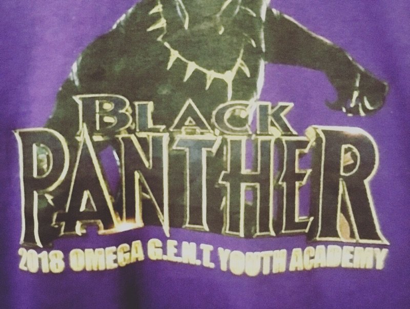 HoustonQues's tweet photo. The Mu Mu Nu Chapter of Omega Psi Phi Fraternity, Inc. and the Bridge Builder Charity Foundation Inc. participated in hosting young men in a viewing of the new Black Panther movie at Star Cinema Grill.  The program consists of mentoring young men (Omega Gents) #HoustonQuesUplift https://t.co/gh0qPBWBWZ
