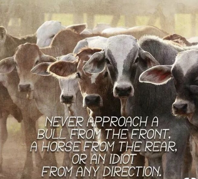 ClintonReports's tweet photo. Today’s #ThursdayThoughts brought to you by this Irish Proverb. https://t.co/cUIPMMFW11