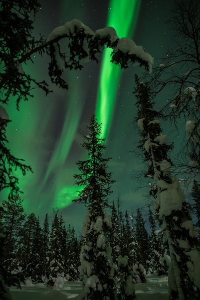 RubenWeytjens's tweet photo. Another great auroral evening here in Luosto! #Auroraborealis #NorthernLights #noorderlicht #Lapland #Luosto @visitlapland @PyhaLuostoNP https://t.co/ZPlGrrs4g9