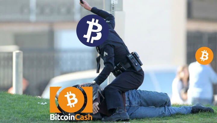 cryptoworldmeme's tweet photo. @rogerkver #BTC #BTCP #BCash https://t.co/tJPfFCBtWw