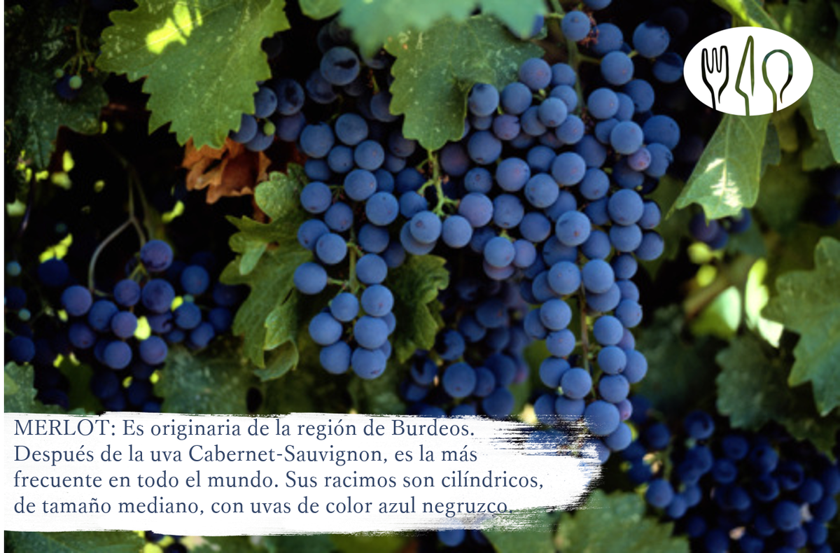AmazingFood1's tweet photo. Entre #vinos https://t.co/5Ii9ZM3SZW