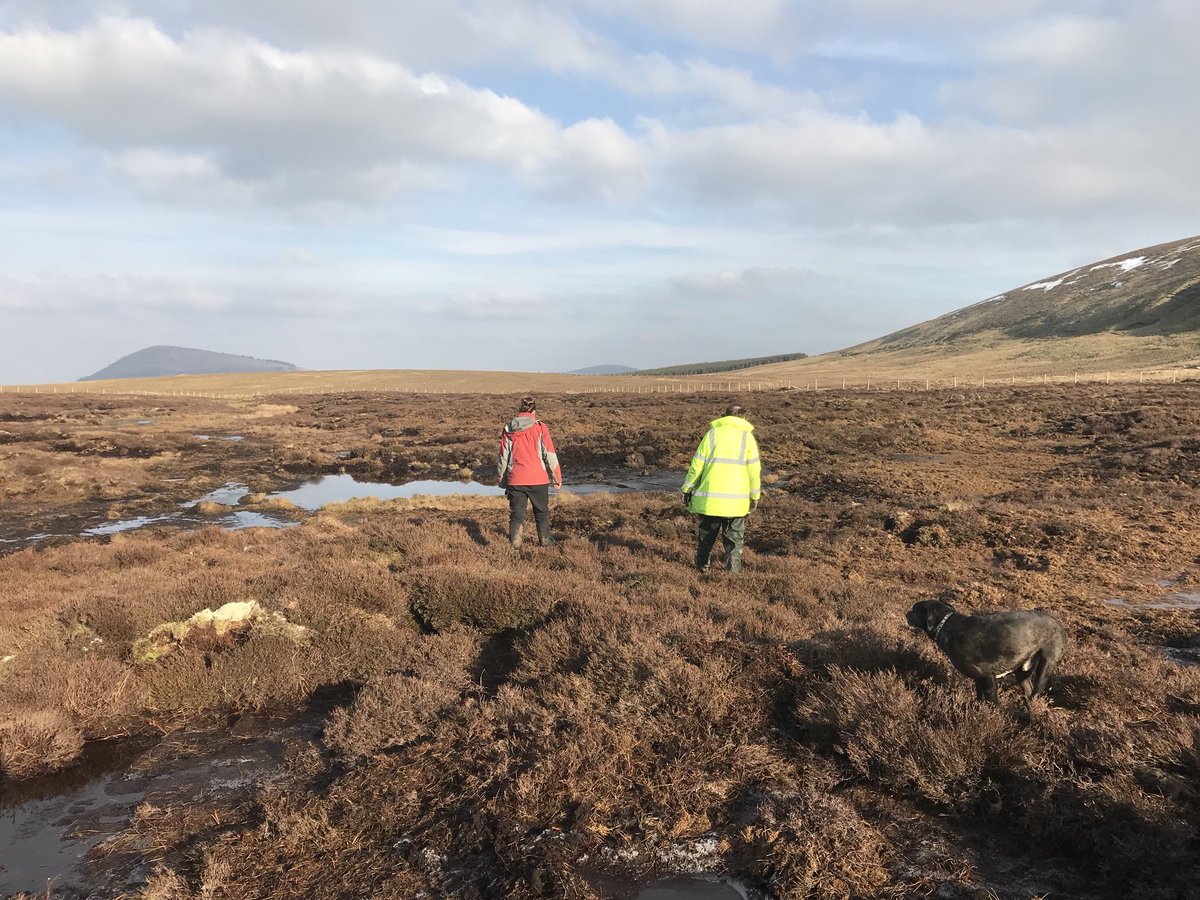 Peatland restoration at Matterdale Common. Helping prevent downstream flooding