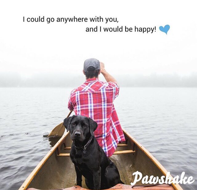 “I could go anywhere with you and I’d be happy”

pawshake.com

#dailyquote #dailypic #petsitting #dogs #dogsoftwitter #mansbestfriend #dogwalk