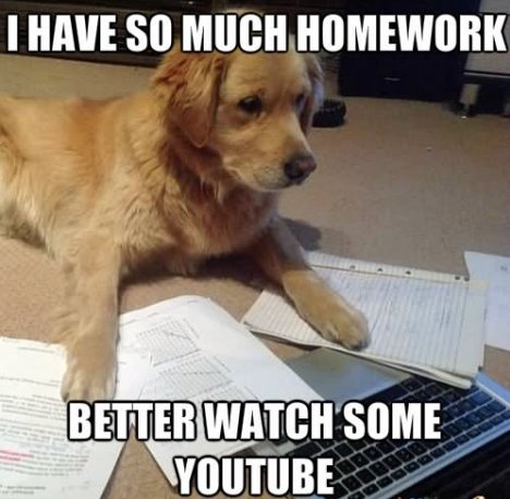 Me in a nutshell