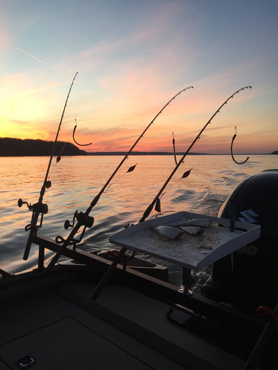 MikeDav12971775's tweet photo. #whiskerseekertackle #chadferguson medium/heavy WST rods, looking good in the sunset on #wheelerlake #Alabama #agamecamo #catfishing #lakelife https://t.co/pgKYgjcFQo