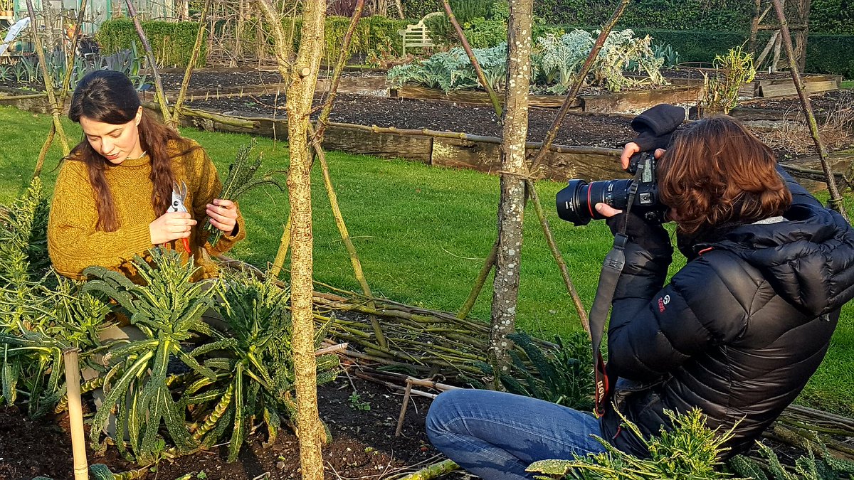 A sneak peak of Frances Tophill picking kale at our photoshoot for @GWmag with @sarah_cuttle #francestophill #GardenersWorld #kale