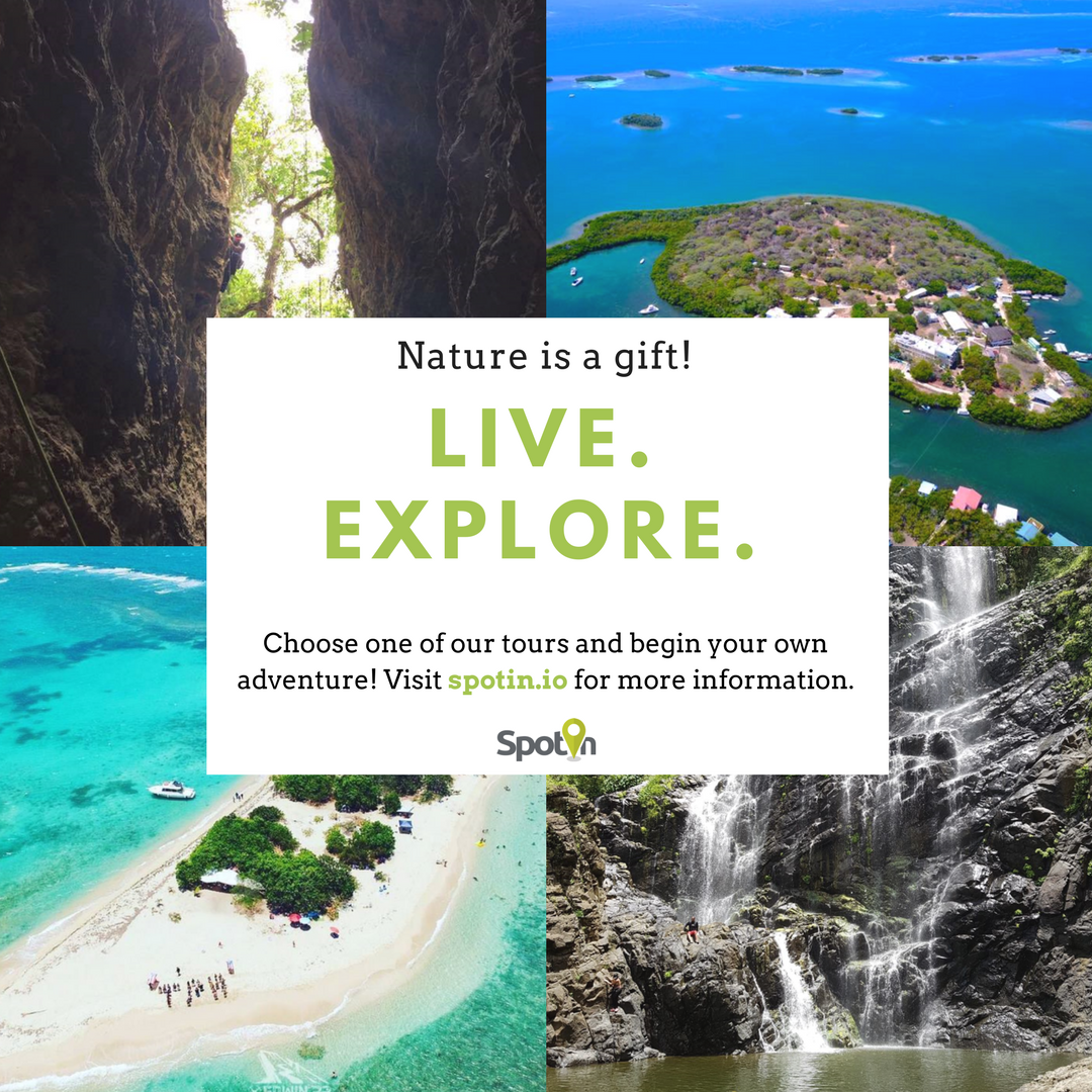 SpotinPR's tweet photo. Let the adventure begins! ☀️•
Step 1: Visit https://t.co/KEREBpyl7N 📲
Step 2: Choose your adventure ✔️
Step 3: Live the experience 😎
•
#aventureo #spotinpr #puertorico #boricua #hechoenpuertorico #deaquisoy #bebold #apoyalolocal #atrévete #estoespuertorico #exploration https://t.co/6tKkDqLFgi