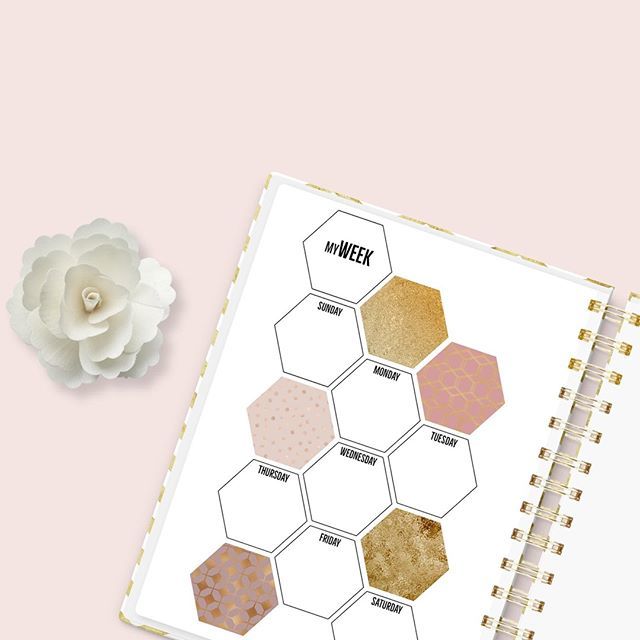 findingnorths's tweet photo. Got any fun plans this weekend that would fit perfectly into this hexagon planner? I love finding new ways to organize my planner, and this is definitely a fun style :) There are two new hexagon planners in the shop! - Link in the bio. 
#bulletjournal #b… https://t.co/YxpDjcFORc https://t.co/4Ui3D0RC43