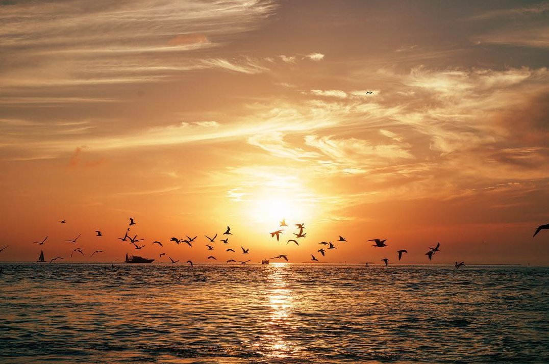 FuryKeyWest's tweet image. This is what we call happy hour 🌞 #FuryKeyWest
.
.
📸: @fabricioteleva