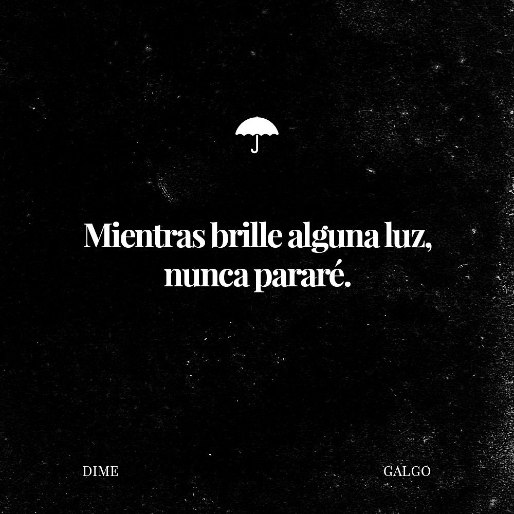 Galgo Music tweet media