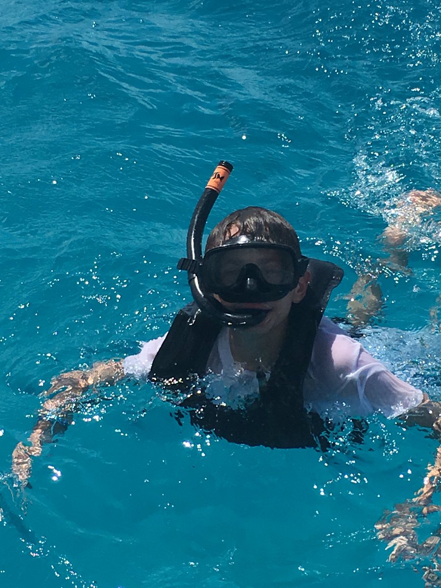 CWLC_Trips's tweet photo. Swimming with turtles and over the wreck site. https://t.co/mhsMfRzqAn