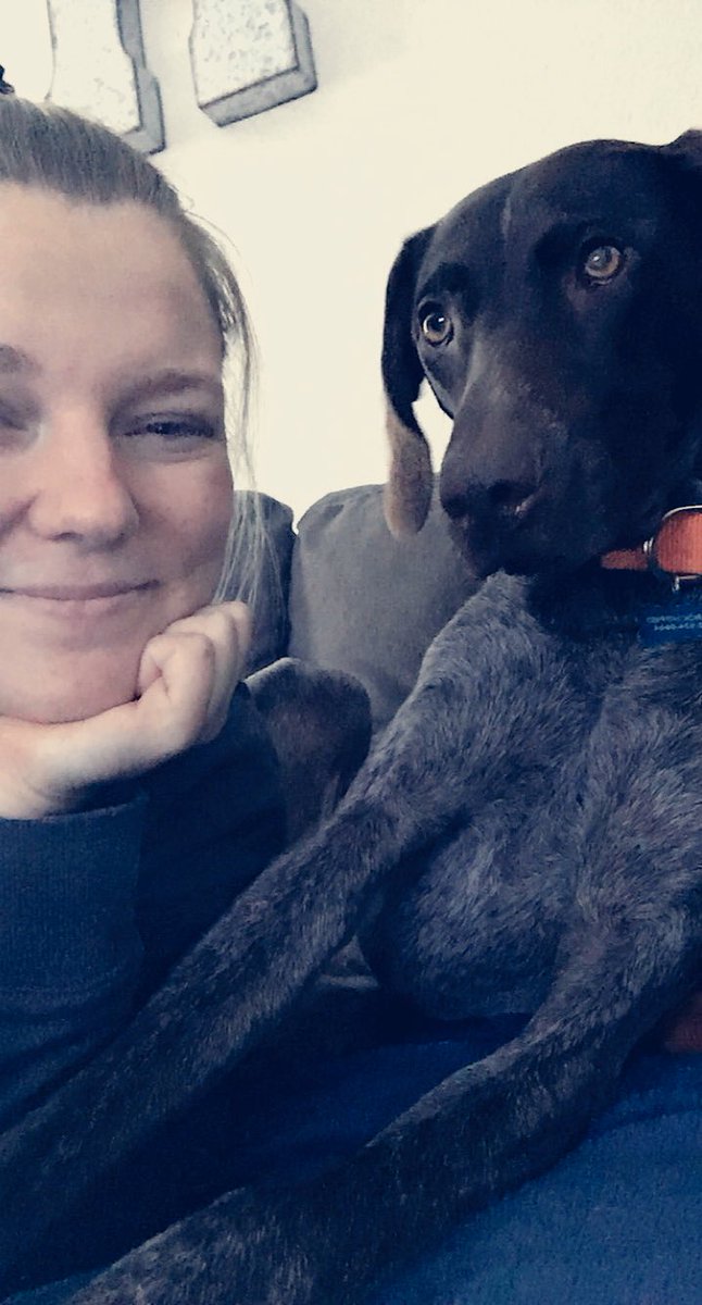 Chels_Heard4's tweet photo. Solid 2 days of couch cuddles with Rondo!💕 https://t.co/16vzRLKSqb