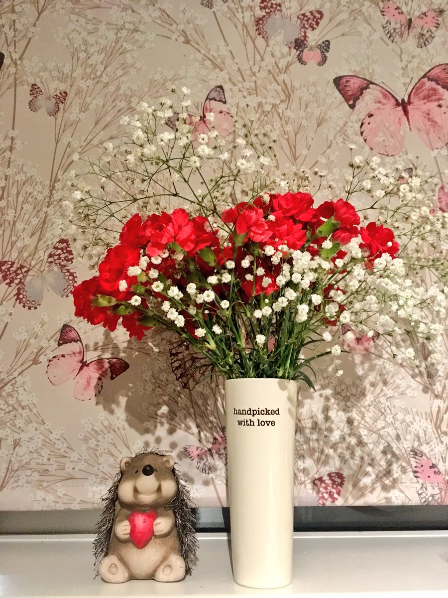 4theloveofhogs's tweet photo. 6 days later #blossoming #openingupbeautifully #hedgehogs #hearts #love #flowers #white #red #carnations #happyfeeling #happy #smile #giftfrommetome #frommetomyself πππ https://t.co/j0XsgICQSp