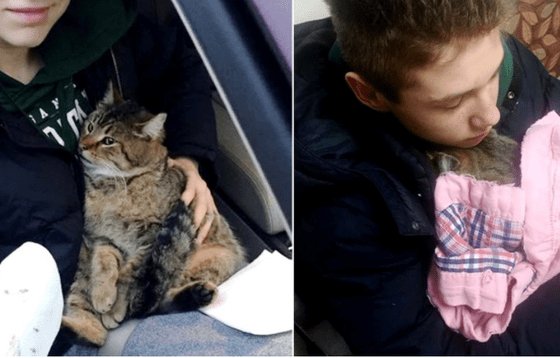 RandomQuiz21's tweet image. You’ll Never Believe What This 14-Year-Old Boy Did To Save A Cat Hanging From A Bridge randompersonalityquizzes.com/youll-never-be…