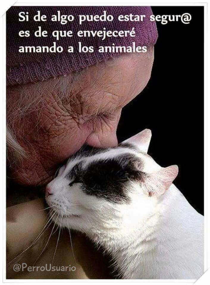 PerroUsuario's tweet photo. ¡¡¡Totalmente segur@ !!!  https://t.co/Xj4rzNfTMY
