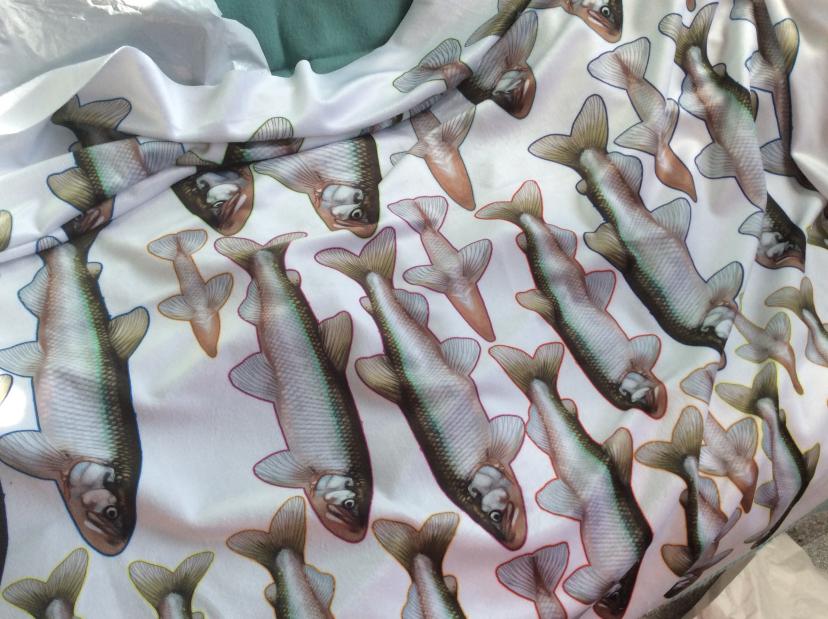 palaeoplushies's tweet photo. Okay so my European Smelt fabric arrived for the #200fish project art piece I'm doing... Whilst writing about my chosen fish I learnt that they smell of freshly cut cucumber🥒. I've found some cucumber scent to add to the plushies for that extra realism. HA! https://t.co/5MdaPcsfww