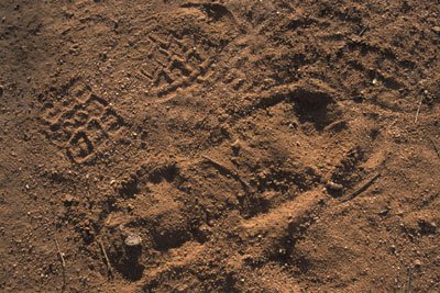 ExploreSoils's tweet photo. Soil forensics, a nice set of potential learning exercises on a soily subject that's not always discussed: https://t.co/YvVCD0GA43 https://t.co/62hkyFh8Cq