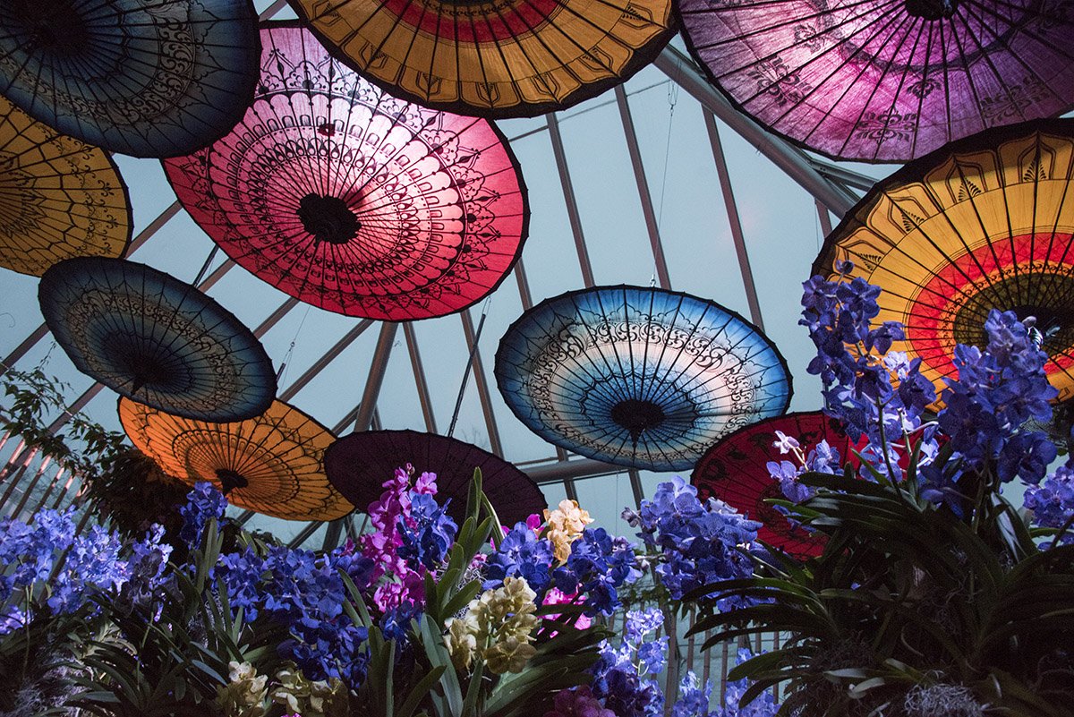 chicagobotanic's tweet photo. Taste local spirits and specialty cocktails, while enjoying an evening in the #CBGOrchidShow. https://t.co/8vPNYZynyr @BlaumBros @CHDistillery @CopperFiddle @fewspirits @JourneymanDist @kovaldistillery @NSDistillery @OppidanSpirits @DrinkVitani @WhiskeyAcres https://t.co/1hmNtKPkZI