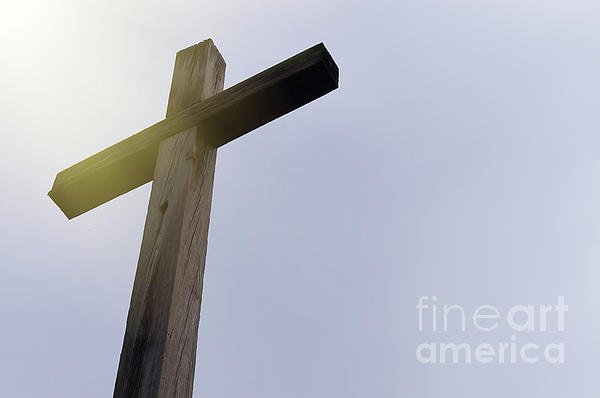PhotoLizM's tweet photo. New artwork for sale! - "Cross" - https://t.co/XnoJh8O9Bb @shoppixels https://t.co/M5CkRjfSvo