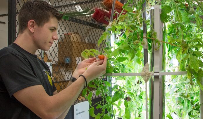 Lorain County FFA’ers are learning by doing farmanddairy.com/news/lorain-co… via <a href="/farmanddairy/">farmanddairy</a> #aeroponics