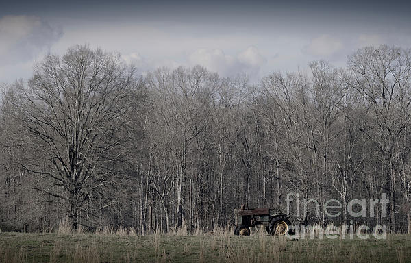 PhotoLizM's tweet photo. New artwork for sale! - "In the Field" - https://t.co/4H8jqkFQXD @shoppixels https://t.co/YvHeeHuiHh
