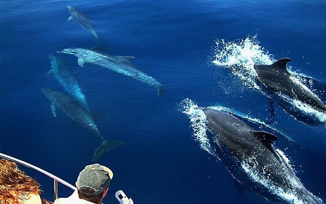 VisitTanger.com tweet media