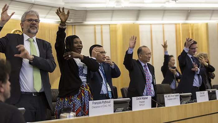 IISD_ENB's tweet photo. The conference “Working Across Sectors to #HaltDeforestation &amp; Increase Forest Area” From Aspiration to Action concluded Thursday in Rome. Key messages will be transmitted to #HLPF18 @FAOForestry #FLEGT #ForestFarmFacility #FLRM https://t.co/CQvENfO5SB https://t.co/QNpcviXpVq