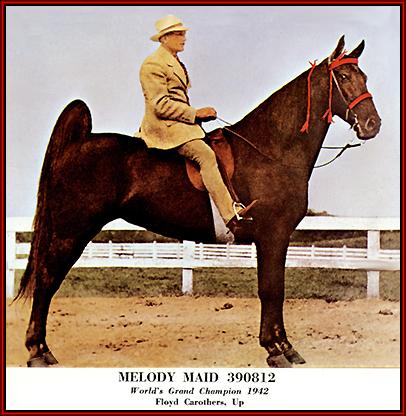 TWHAC's tweet photo. #TBT to the 1942 Tennessee Walking Horse World Grand Champion "Melody Maid." #tennesseewalkinghorse #tennesseewalker #TWHNC https://t.co/1USjsDwqSH