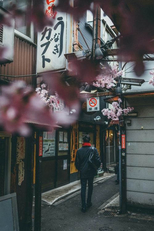 maikoya_japan's tweet photo. Streets of Japan
#japan #japanese #japaneseculture #traveljapan #visitjapan #japaneseart #culture #japantravel #travelblogger #travel #japan_daytime_view #japantrip #gf_japan #team_jp_ #icu_japan #lovers_nippon #Япония #japanese #japonais #japanstyle #StreetsofJapan #Street https://t.co/oK5hIhhuTx