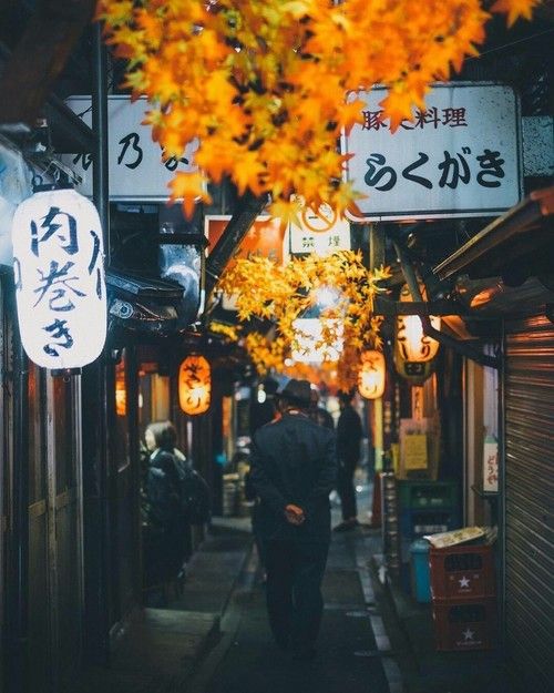 maikoya_japan's tweet photo. Streets of Japan
#japan #japanese #japaneseculture #traveljapan #visitjapan #japaneseart #culture #japantravel #travelblogger #travel #japan_daytime_view #japantrip #gf_japan #team_jp_ #icu_japan #lovers_nippon #Япония #japanese #japonais #japanstyle #StreetsofJapan #Street https://t.co/oK5hIhhuTx