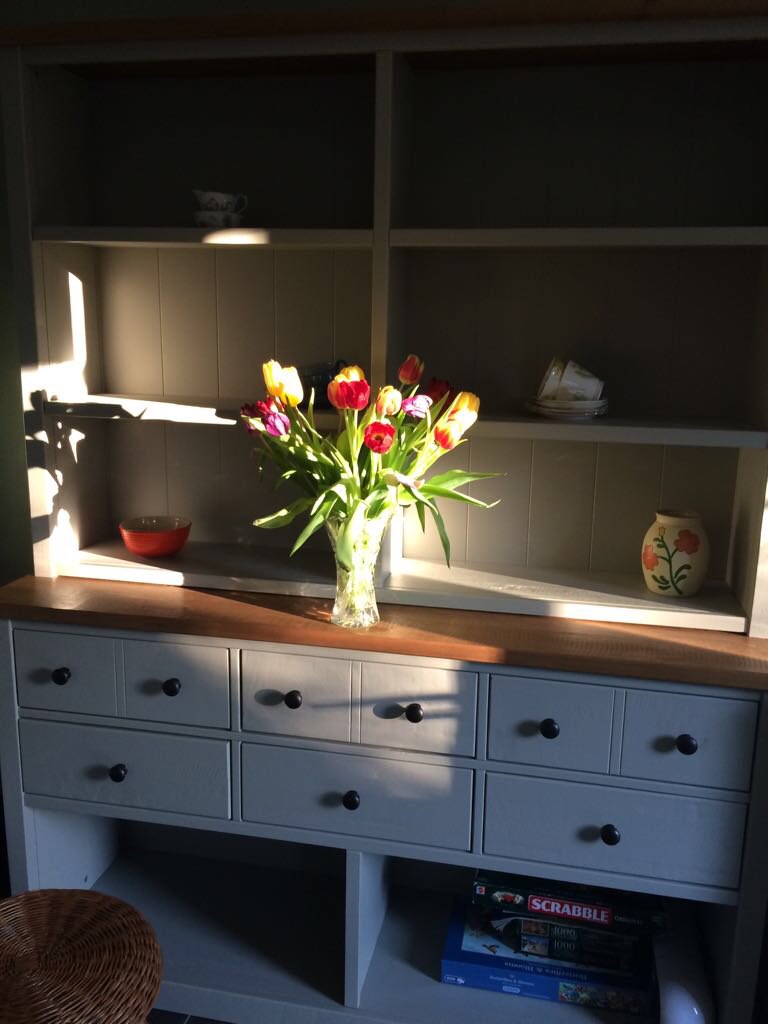 Cncp24's tweet photo. Hello #spring #flowersofinstagram #beautifulnature https://t.co/PuzE5hoBV9