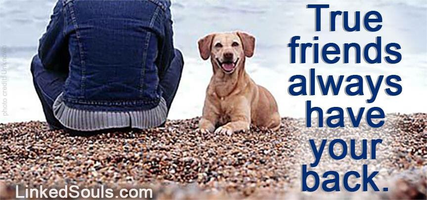 LinkedSouls's tweet image. Dogs.. what more is there to say?!